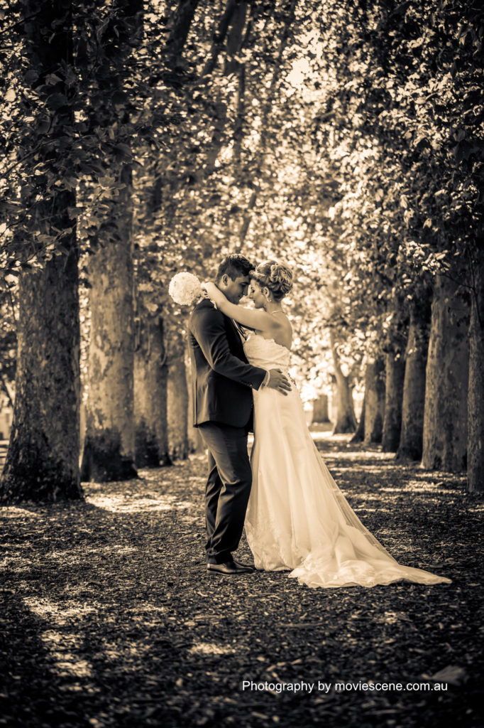 Bride and groom at Fitzroy gardens Melbourne Wedding Videography and Photography